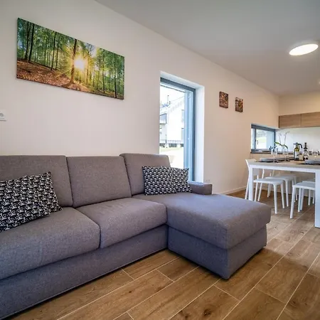 Dom wakacyjny House U Hajenky 11p Lipno Lipno nad Vltavou