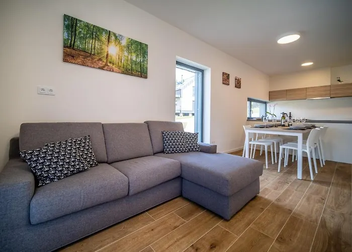 度假居 House U Hajenky 11p Lipno 伏尔塔瓦河畔利普诺